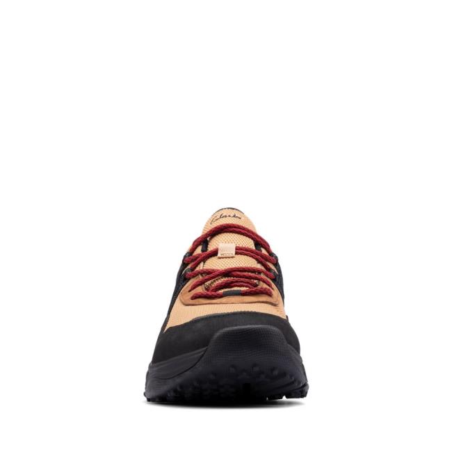 Clarks Tri Path Trek GORE-TEX Sneakers Herre Brune | CLK986OWQ
